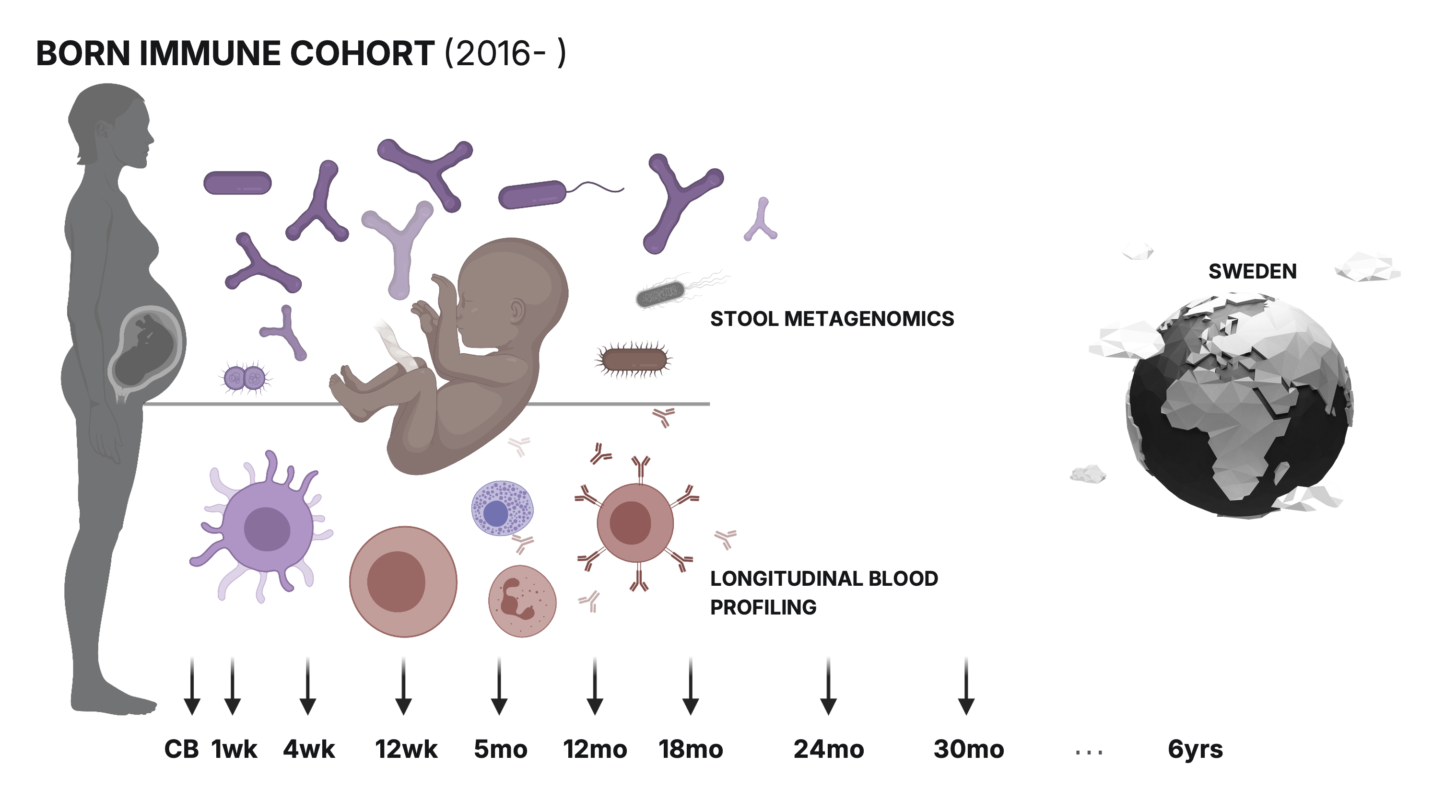 Born Immune Cohort – longitudinal blood profiling and stool metagenomics from cord blood to 6 years